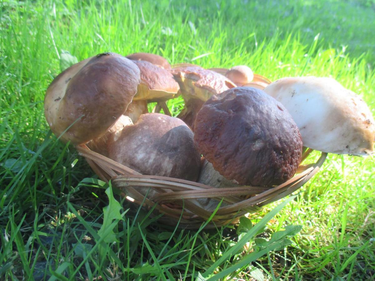 Rozcesti, Z Gruntu Dobre Prespani Apartmán *